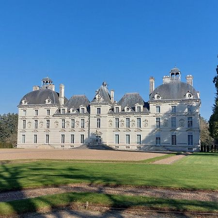 Trainefeuilles - Chambres D'Hotes Proche Zoo De Beauval Le Controis-en-Sologne Εξωτερικό φωτογραφία
